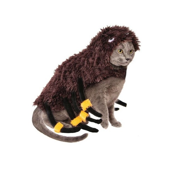 Way To Celebrate Halloween Pet Costume, Spider Costume, NEW Size XS - Picture 2 of 5